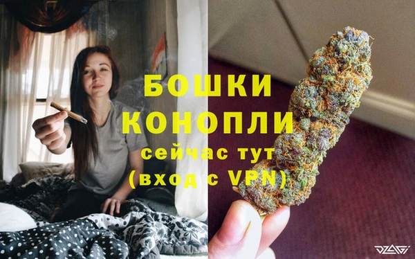 ПСИЛОЦИБИНОВЫЕ ГРИБЫ Медногорск