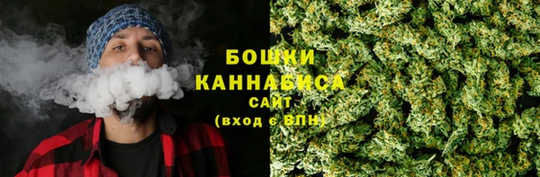 ПСИЛОЦИБИНОВЫЕ ГРИБЫ Медногорск