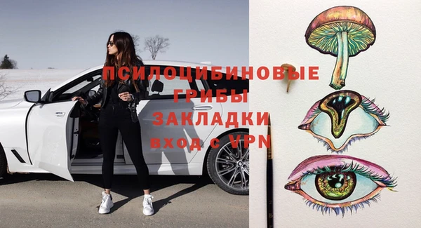 ПСИЛОЦИБИНОВЫЕ ГРИБЫ Медногорск