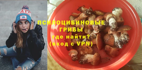ПСИЛОЦИБИНОВЫЕ ГРИБЫ Медногорск
